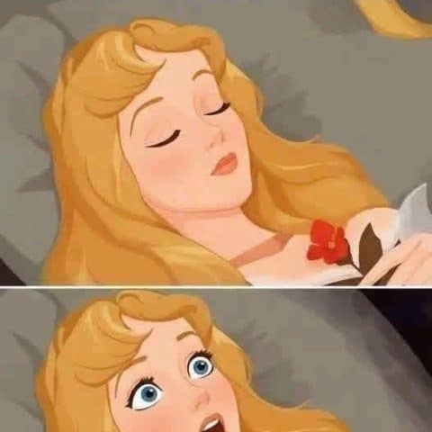 Cartoon of a sleeping princess in two frames; she is first asleep calmly then suddenly awake with wide surprised eyes and mouth open. Text above reads 'To break the spell you have to kiss her on the lips'.