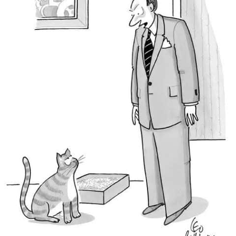 A man in a suit standing and looking down at a cat sitting next to a litter box, with a framed picture on the wall behind them.