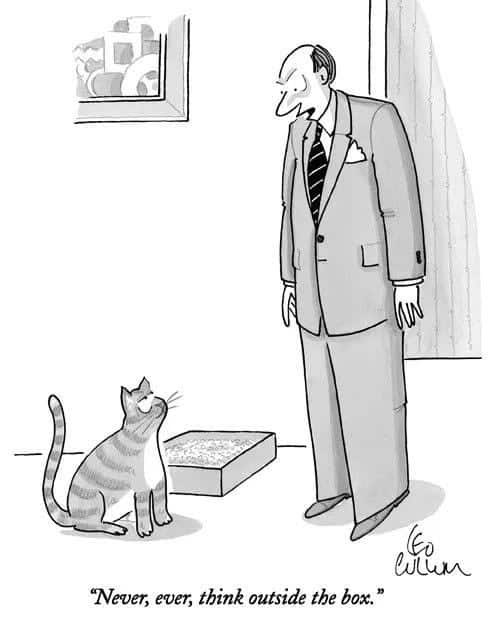 A man in a suit standing and looking down at a cat sitting next to a litter box, with a framed picture on the wall behind them.