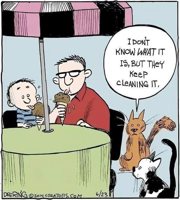 Two people sitting at a table with ice cream, two cats watching nearby; one cat says, "I don't know what it is, but they keep cleaning it."