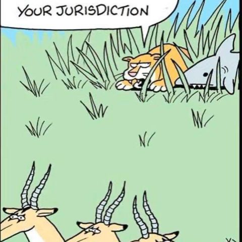 A lion crouches in grass stalking some antelopes while a shark emerges from the grass behind the lion, saying 'Hey! You're out of your jurisdiction'