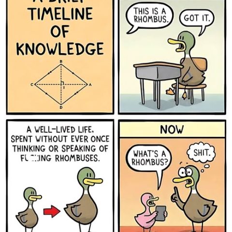 Four-panel comic featuring a duck illustrating the concept of a rhombus in childhood, then forgetting what it is as an adult when asked by a smaller duck.