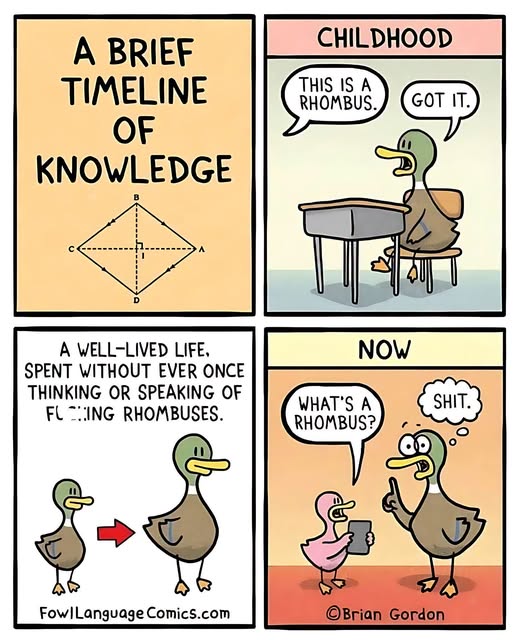 Four-panel comic featuring a duck illustrating the concept of a rhombus in childhood, then forgetting what it is as an adult when asked by a smaller duck.