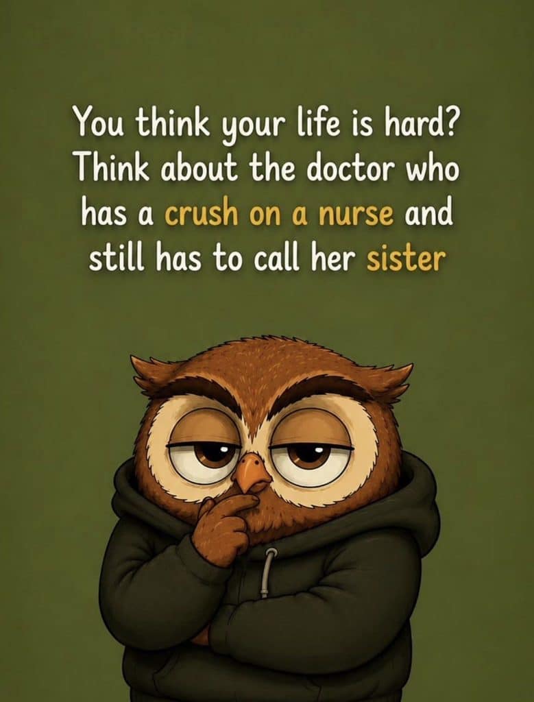 Cartoon owl in a hoodie with a smirking expression and finger on its beak, text about a doctor who has a crush on a nurse but must call her sister.