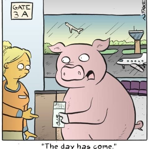 Cartoon of a pig holding a plane ticket at an airport gate with a worried expression, and a woman in airport staff uniform gesturing towards a closed door.