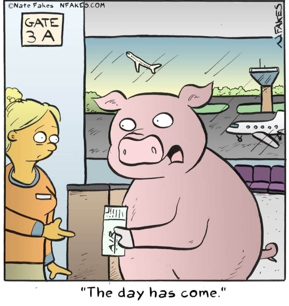 Cartoon of a pig holding a plane ticket at an airport gate with a worried expression, and a woman in airport staff uniform gesturing towards a closed door.