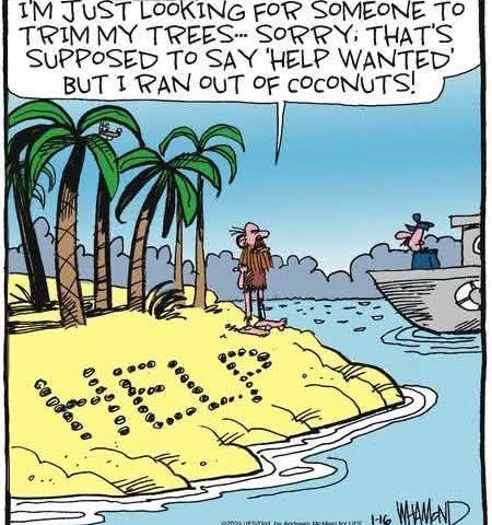 A man with a beard stands barefoot on a small desert island with palm trees. The word 'HELP?' is spelled out with coconuts on the sand. A boat approaches with a person looking at him. The man says he meant to write 'HELP WANTED' but ran out of coconuts.