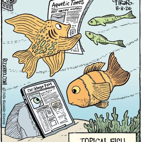 Several fish underwater, one reading a newspaper titled Aquatic Times, another eyeing an electronic device displaying the Caribbean Post, surrounded by smaller fish and coral.