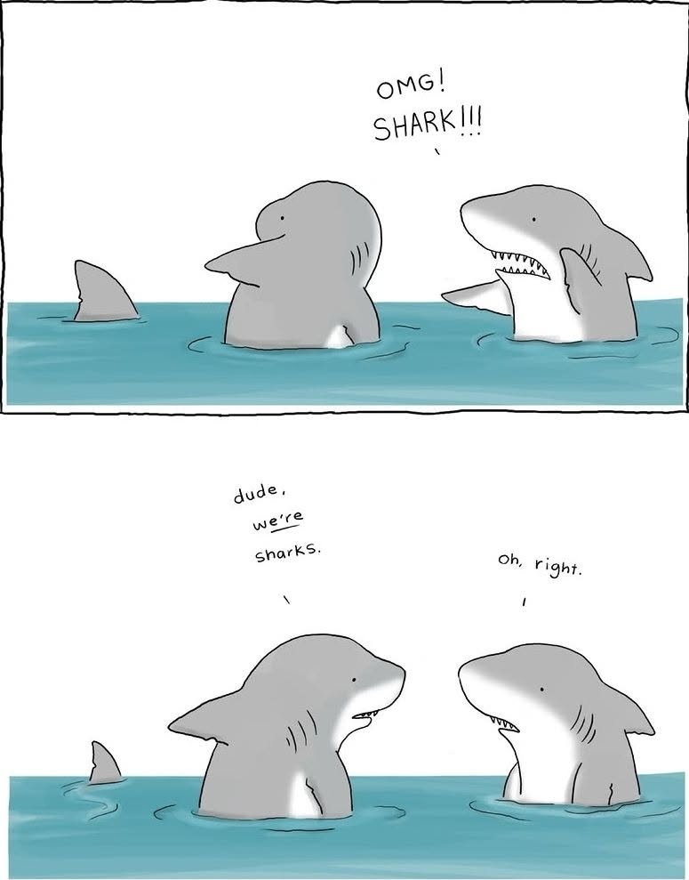 Two sharks in water reacting with surprise to a shark fin, then realizing they themselves are sharks.