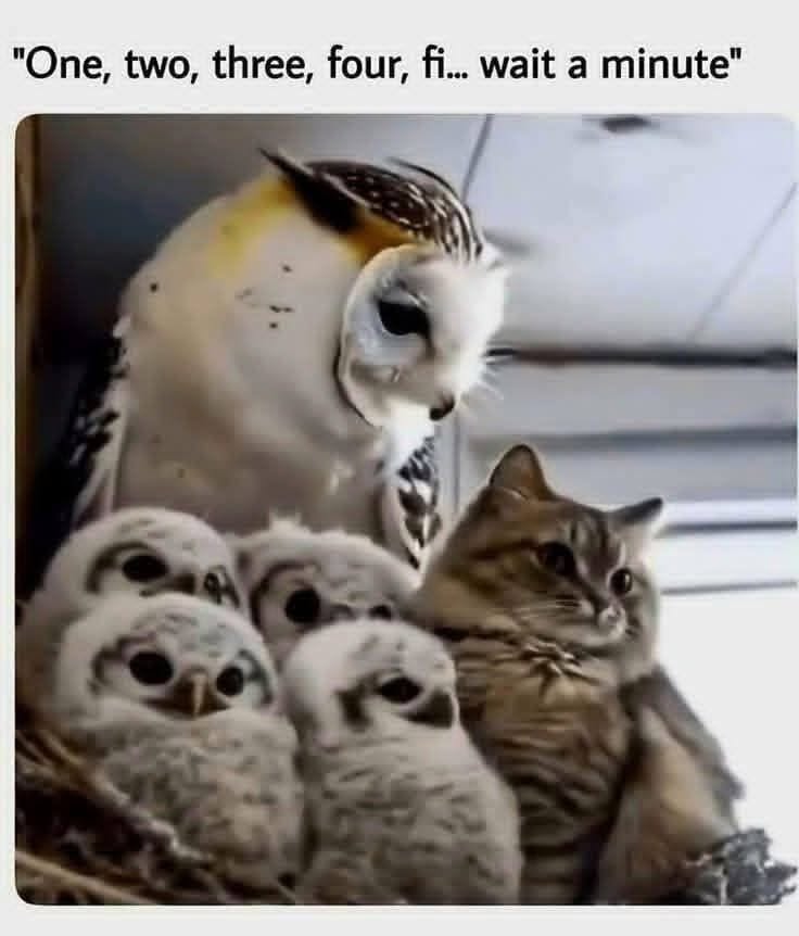 An adult owl looking down at four fluffy owlets and a cat sitting closely among them, all perched together indoors.