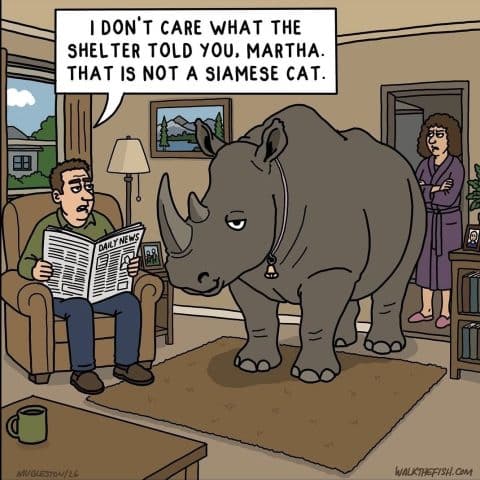 A man sitting in an armchair holding a newspaper talks to a woman standing in a doorway as a large rhinoceros stands between them inside a living room.