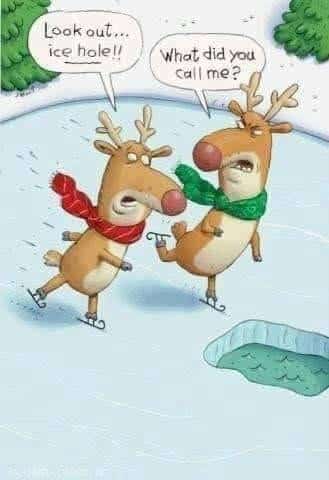 Two reindeer wearing scarves ice skating near a hole in the ice. One reindeer says, 'Look out... ice hole!!' The other replies, 'What did you call me?'