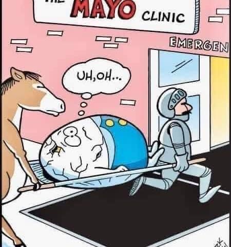 A cracked egg with a worried expression on a stretcher pushed by a knight, being followed by a horse outside a building labeled The Mayo Clinic Emergency.