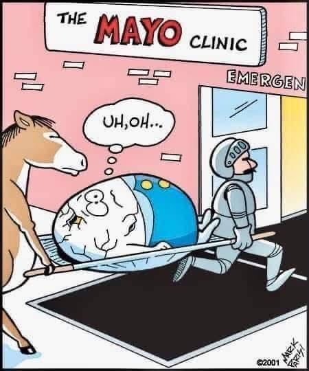 A cracked egg with a worried expression on a stretcher pushed by a knight, being followed by a horse outside a building labeled The Mayo Clinic Emergency.