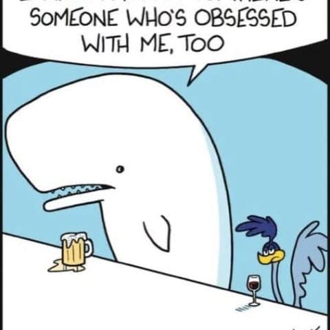 A white whale talking at a bar with a small blue roadrunner bird holding a glass of wine beside a mug of beer.