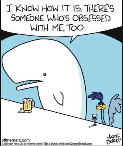 A white whale talking at a bar with a small blue roadrunner bird holding a glass of wine beside a mug of beer.