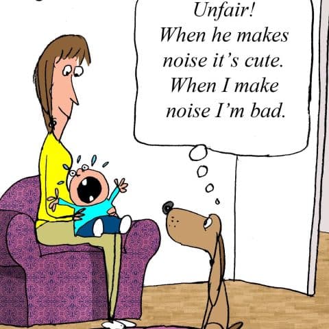 A cartoon shows a woman sitting on a purple armchair holding a crying baby. A brown dog sits nearby looking up at the woman with a thought bubble that says, 'Unfair! When he makes noise it’s cute. When I make noise I’m bad.'