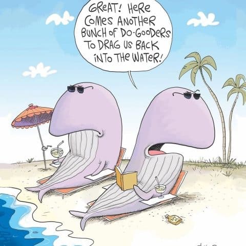 Two purple whales wearing sunglasses relaxing on beach chairs with drinks and a book, speaking about do-gooders dragging them back into the water near the ocean shore with palm trees in the background.