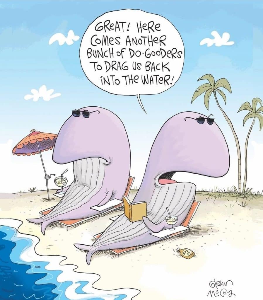 Two purple whales wearing sunglasses relaxing on beach chairs with drinks and a book, speaking about do-gooders dragging them back into the water near the ocean shore with palm trees in the background.