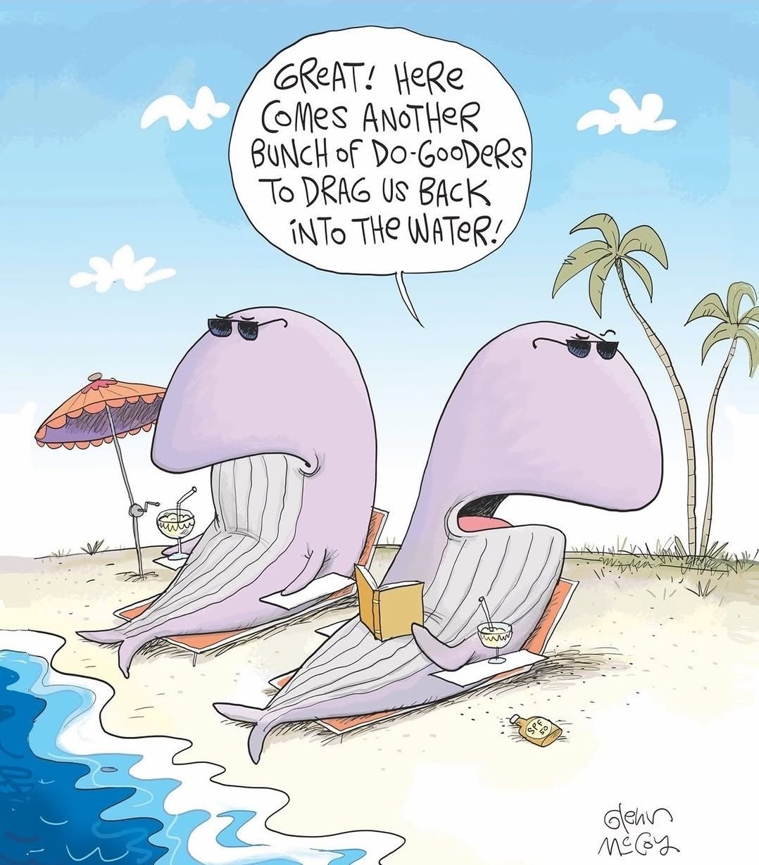 Two purple whales wearing sunglasses relaxing on beach chairs with drinks and a book, speaking about do-gooders dragging them back into the water near the ocean shore with palm trees in the background.
