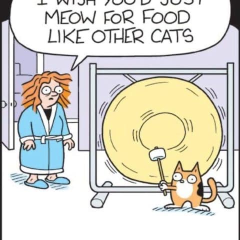 A cat holding a mallet dramatically hitting a huge gong while a woman in a bathrobe watches and says she wishes the cat would just meow for food like other cats.
