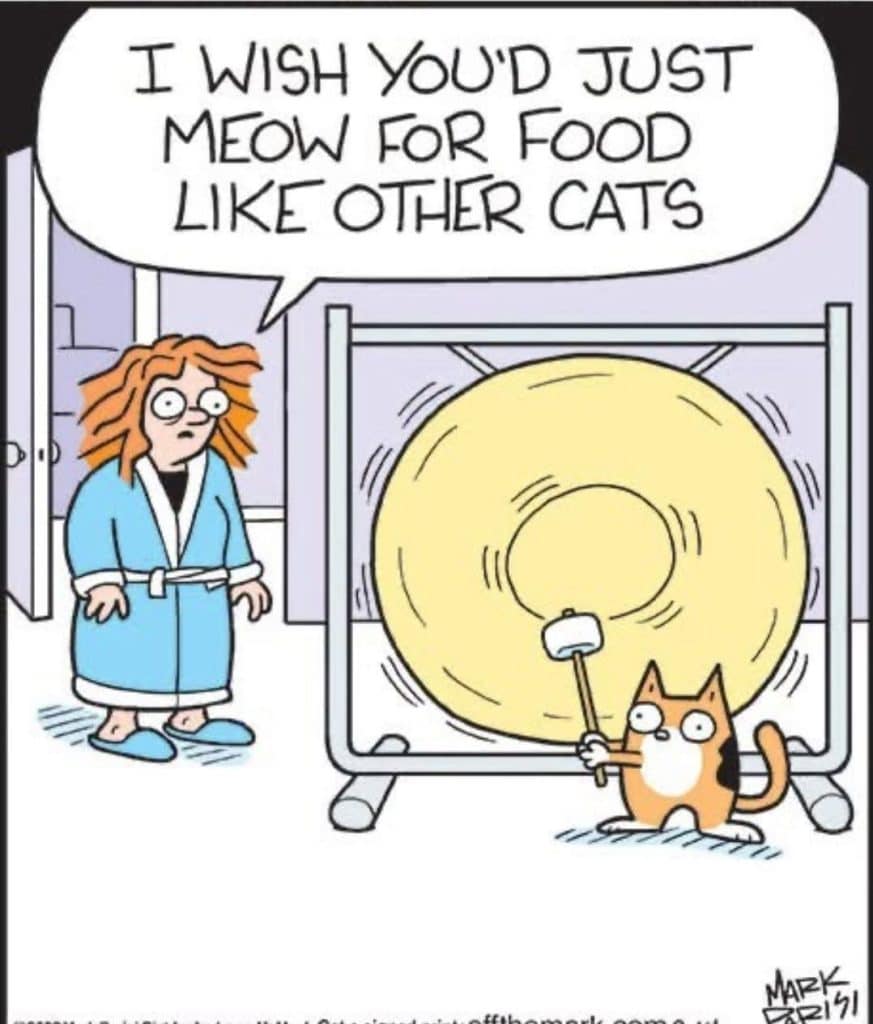A cat holding a mallet dramatically hitting a huge gong while a woman in a bathrobe watches and says she wishes the cat would just meow for food like other cats.