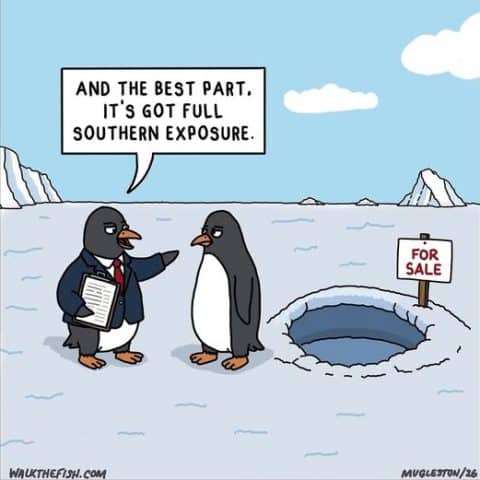Two penguins stand on icy terrain; one dressed as a realtor holding papers gestures towards a hole in the ice with a For Sale sign.