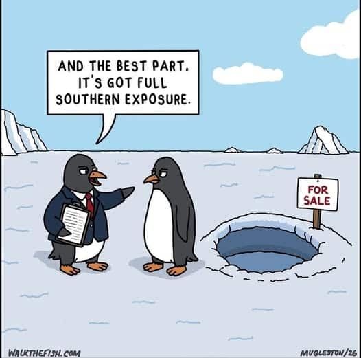 Two penguins stand on icy terrain; one dressed as a realtor holding papers gestures towards a hole in the ice with a For Sale sign.