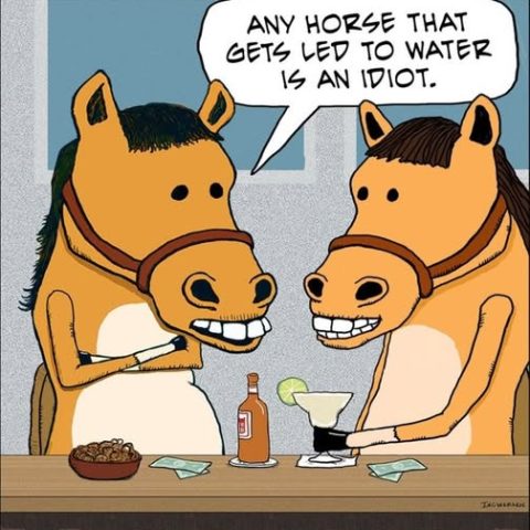 Two anthropomorphic horses sitting at a bar counter, one holding a cigarette and the other holding a margarita glass with a lime. One horse says, 'Any horse that gets led to water is an idiot.'