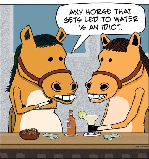 Two anthropomorphic horses sitting at a bar counter, one holding a cigarette and the other holding a margarita glass with a lime. One horse says, 'Any horse that gets led to water is an idiot.'