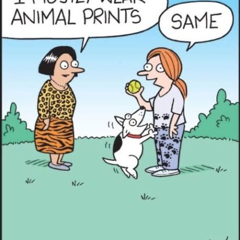 Two women stand outside on grass with bushes in the background. One woman wears a leopard and tiger print dress. The other woman wears grey pants with black splotches and has a white dog with black spots jumping near her holding a tennis ball. Speech bubbles say: Woman 1: 'I mostly wear animal prints' Woman 2: 'Same'.