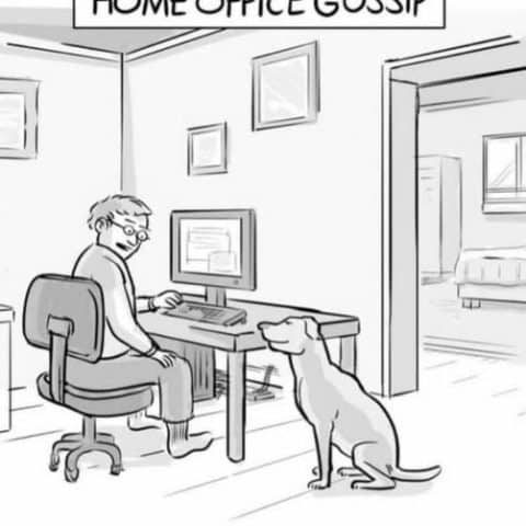 A man sitting at a computer desk talking to a dog sitting on the floor, captioned 'The cat said what?' under a sign reading 'HOME OFFICE GOSSIP'.