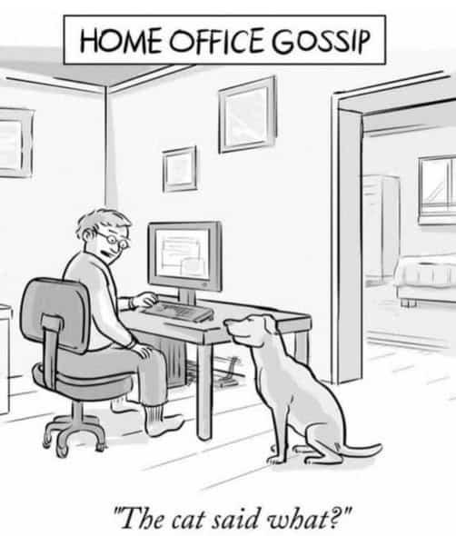 A man sitting at a computer desk talking to a dog sitting on the floor, captioned 'The cat said what?' under a sign reading 'HOME OFFICE GOSSIP'.