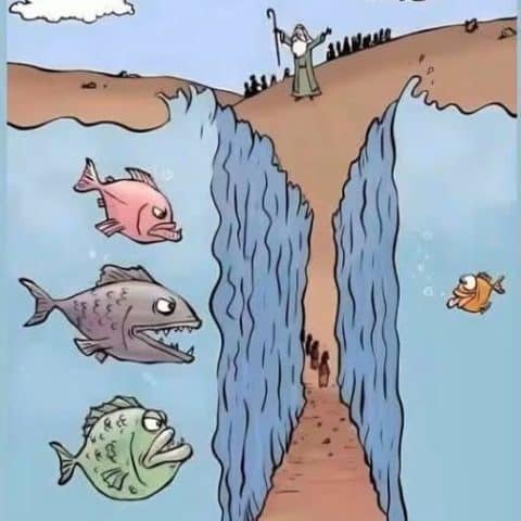 Fish looking alarmed on opposite sides of parted sea with Moses standing on land holding staff.