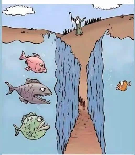 Fish looking alarmed on opposite sides of parted sea with Moses standing on land holding staff.