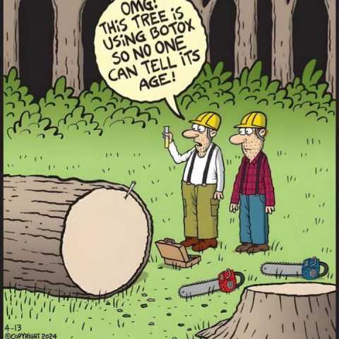 Two lumberjacks in hard hats examining a tree stump in a forest, one holding a vial and commenting on Botox preventing age detection.
