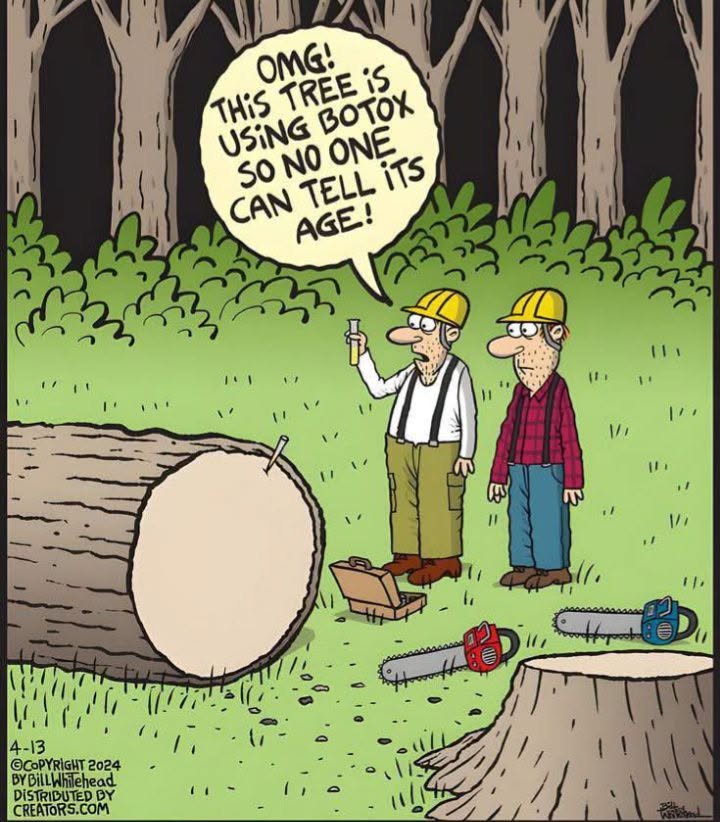 Two lumberjacks in hard hats examining a tree stump in a forest, one holding a vial and commenting on Botox preventing age detection.