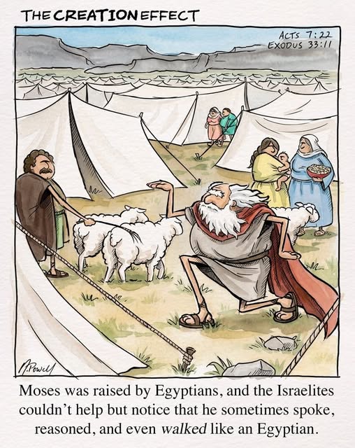 Biblical cartoon showing Moses walking dramatically among tents and sheep with other Israelites and women nearby, with text referencing his Egyptian upbringing.
