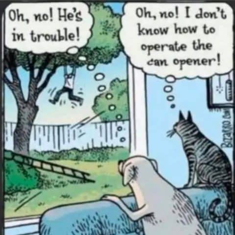 Cartoon of a dog and cat on a couch looking out a window. Outside, a person is hanging from a tree branch. Dog thinks, 'Oh no! He's in trouble!' Cat thinks, 'Oh no! I don't know how to operate the can opener!'.