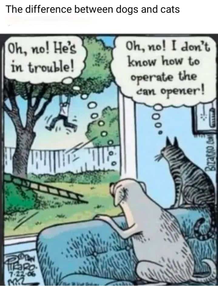 Cartoon of a dog and cat on a couch looking out a window. Outside, a person is hanging from a tree branch. Dog thinks, 'Oh no! He's in trouble!' Cat thinks, 'Oh no! I don't know how to operate the can opener!'.