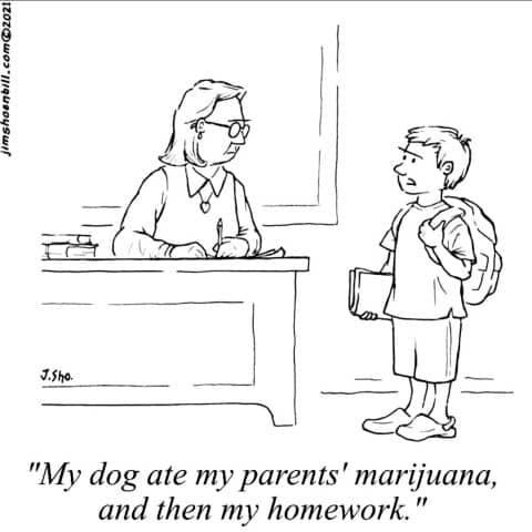 A boy speaking to a teacher behind a desk, explaining his homework excuse involving his dog and marijuana.