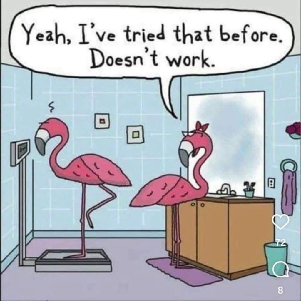Two pink flamingos in a bathroom; one stands on a scale lifting one leg, the other looks on with arms on hips, with a speech bubble saying "Yeah, I've tried that before. Doesn't work."
