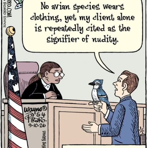 Cartoon courtroom scene with a lawyer holding a jaybird, speaking to a judge, with an American flag in the background. Lawyer says, 'No avian species wears clothing, yet my client alone is repeatedly cited as the signifier of nudity.'