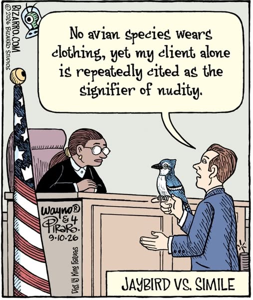 Cartoon courtroom scene with a lawyer holding a jaybird, speaking to a judge, with an American flag in the background. Lawyer says, 'No avian species wears clothing, yet my client alone is repeatedly cited as the signifier of nudity.'