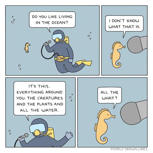 A scuba diver underwater holding a microphone talks to a confused seahorse who asks what ocean means, not understanding its own surroundings.
