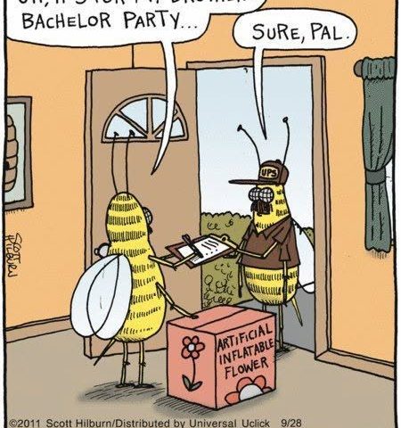 Two bees inside a house, one wearing a UPS uniform handing a delivery box labeled 'Artificial Inflatable Flower' to another bee who says it's for his brother's bachelor party.