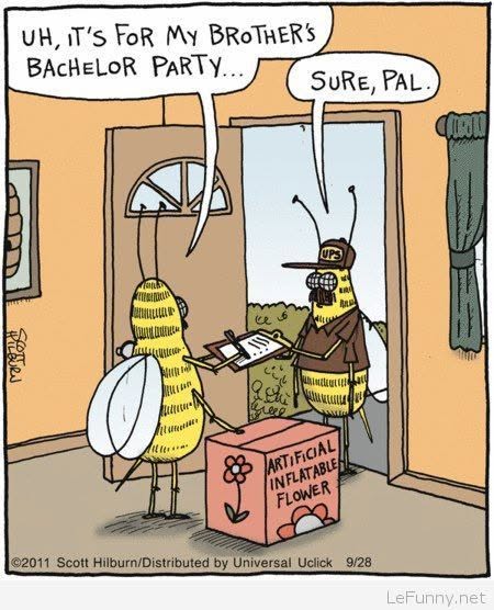 Two bees inside a house, one wearing a UPS uniform handing a delivery box labeled 'Artificial Inflatable Flower' to another bee who says it's for his brother's bachelor party.