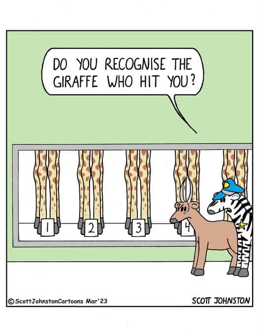 Cartoon showing four sets of giraffe legs numbered 1 to 4 behind glass, a giraffe standing in front with a zebra dressed as a police officer beside it asking a question.
