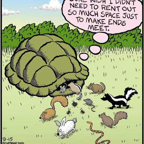 A tortoise with many small animals gathered around and entering its shell. The tortoise has a thought bubble saying it wishes it didn’t have to rent out so much space to make ends meet.
