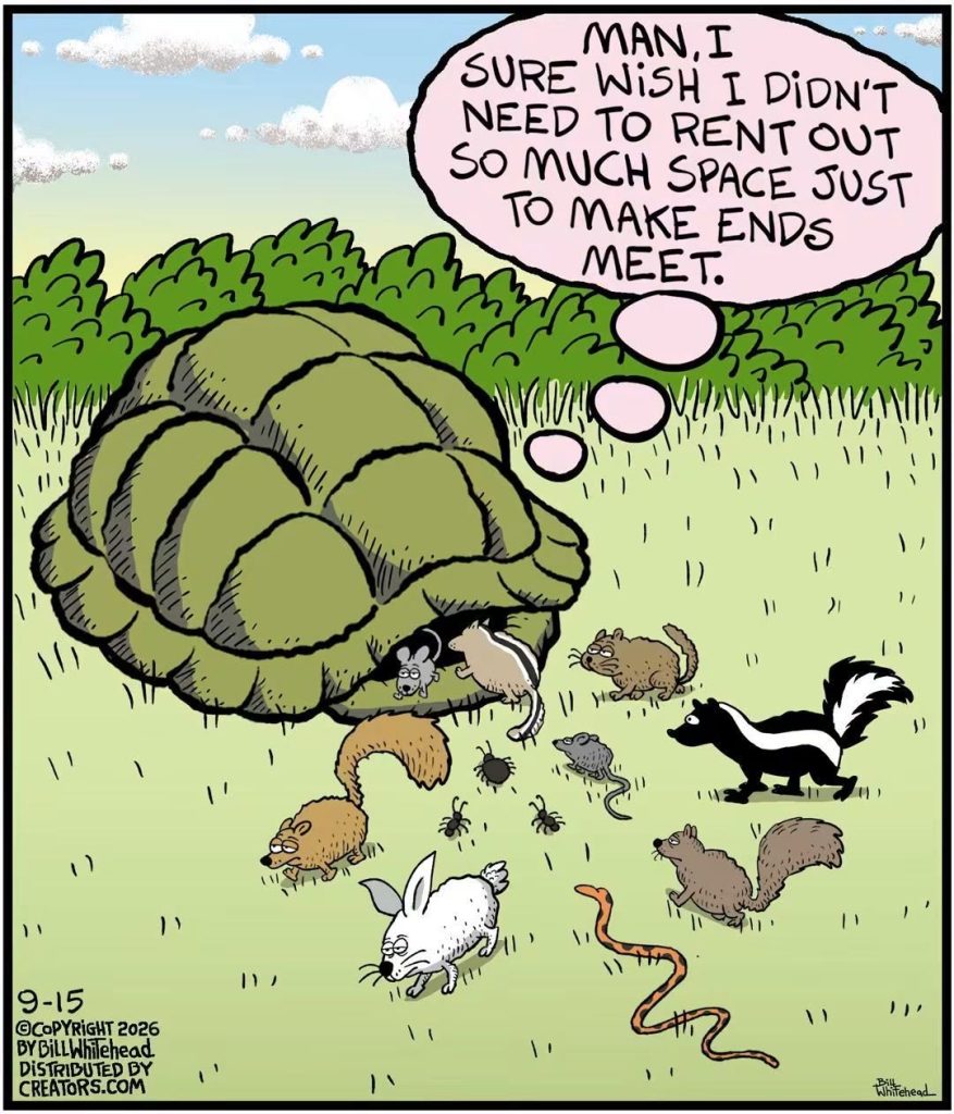 A tortoise with many small animals gathered around and entering its shell. The tortoise has a thought bubble saying it wishes it didn’t have to rent out so much space to make ends meet.